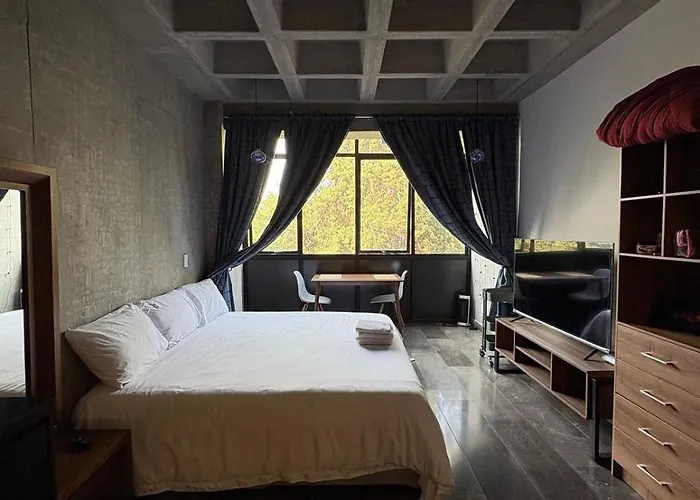 Loft In The Heart Of Roma Norte México DF