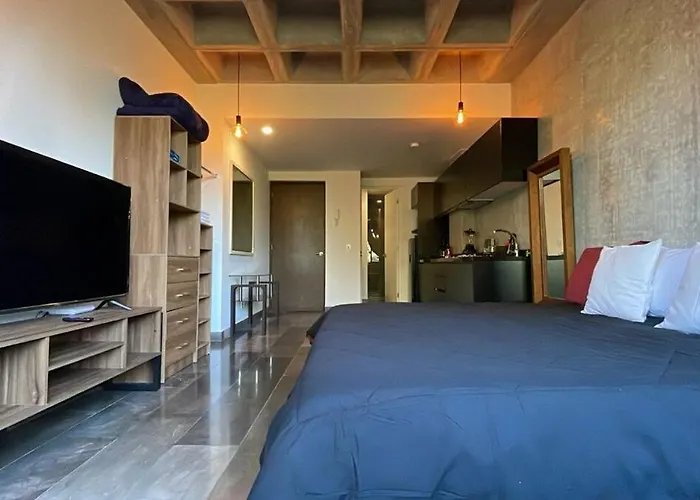 Apartamento Loft In The Heart Of Roma Norte México DF