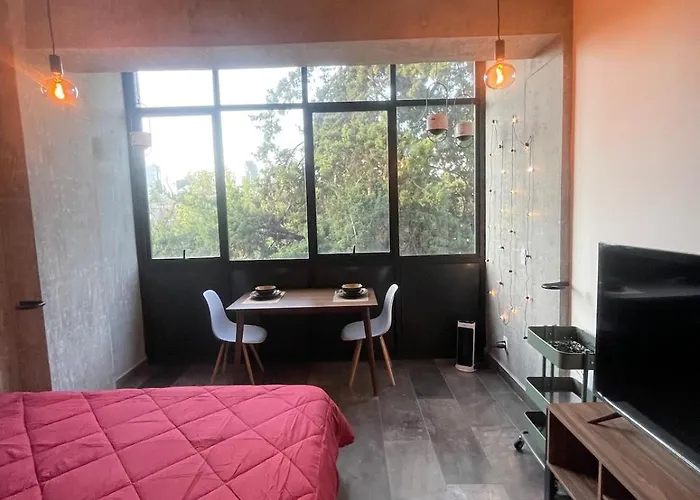 Loft In The Heart Of Roma Norte Apartamento México DF